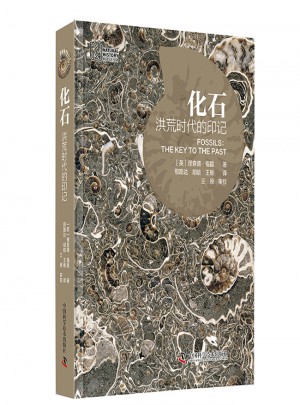 化石：洪荒时代的印记