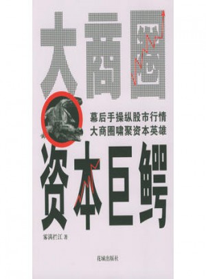 大商圈·资本巨鳄