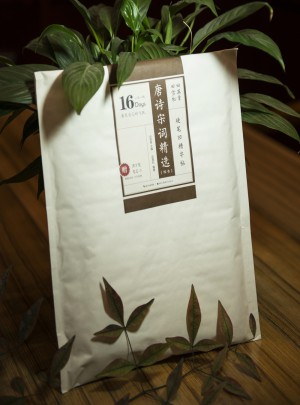 田英章田雪松硬笔凹槽字帖 唐诗宋词精选