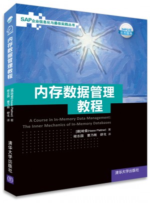 内存数据管理教程