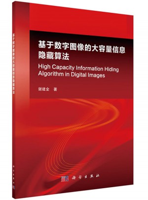 基于数字图像的大容量信息隐藏算法