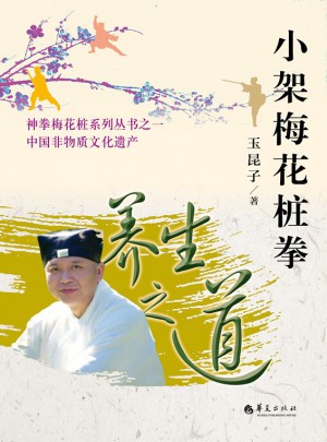 小架梅花桩拳