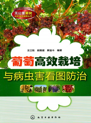 葡萄高效栽培与病虫害看图防治