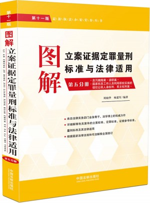 图解立案证据定罪量刑标准与法律适用（第十一版·第五分册）