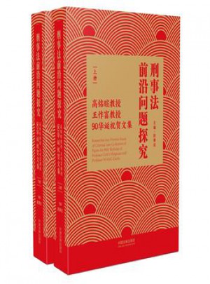 刑事法前沿问题探究