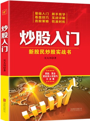 炒股入门：新股民炒股实战书