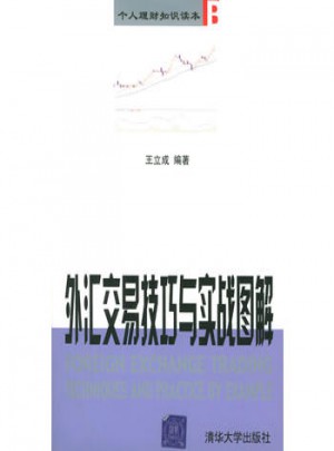 个人理财知识读本B：外汇交易技巧与实战图解