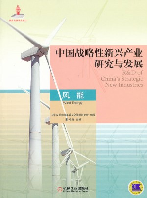 中国战略性新兴产业研究与发展 风能