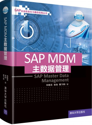 SAP MDM 主数据管理图书