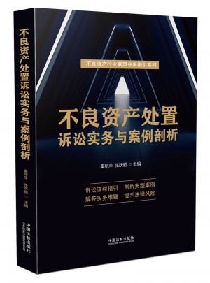 不良资产处置诉讼实务与案例剖析