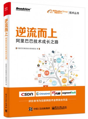 逆流而上：阿里巴巴技术成长之路