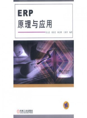 ERP原理与应用