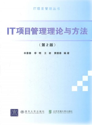 IT项目管理理论与方法（第2版）图书