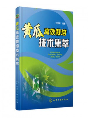 黄瓜高效栽培技术集萃