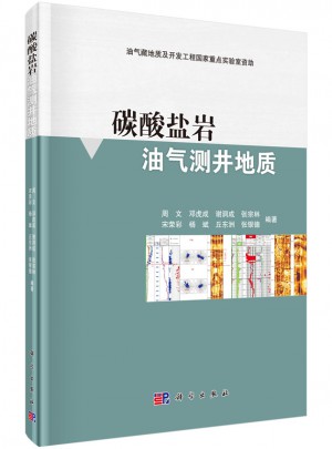 碳酸盐岩油气测井地质