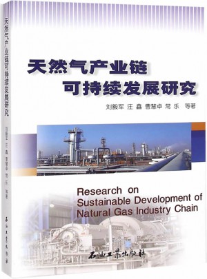 天然气产业链可持续发展研究