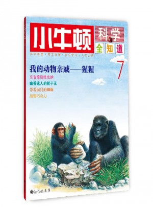 小牛顿科学全知道7
