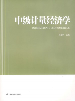 中级计量经济学图书