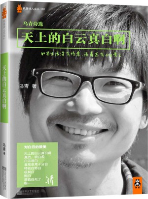 天上的白云真白啊：乌青诗选