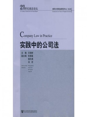 实践中的公司法