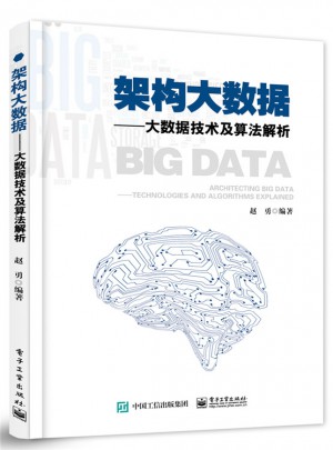 架构大数据·大数据技术及算法解析