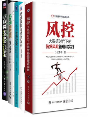 风控大数据时代下的信贷风险管理和实践（全4册）