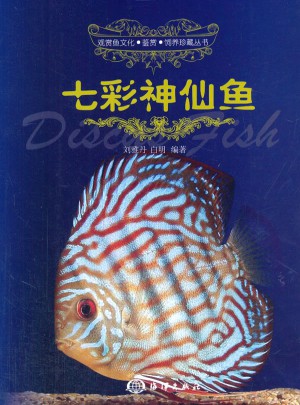 七彩神仙鱼