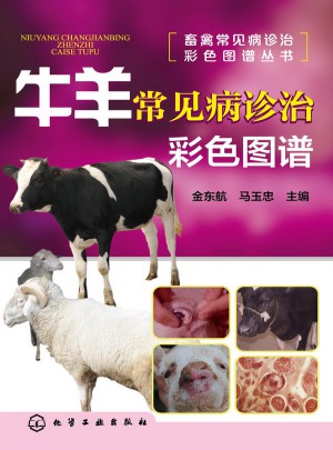牛羊常见病诊治彩色图谱图书