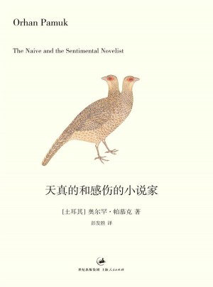 天真的和感伤的小说家