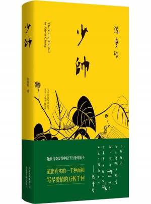 少帅