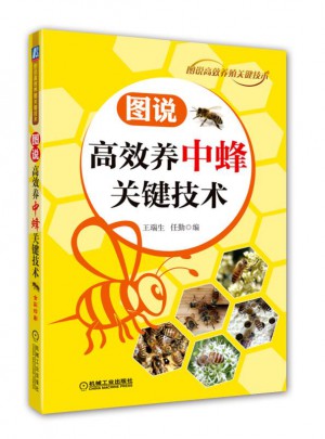 图说高效养中蜂关键技术