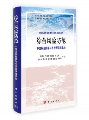 综合风险防范：中国综合能源与水资源保障风险图书