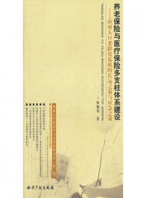 养老保险与医疗保险多支柱体系建设