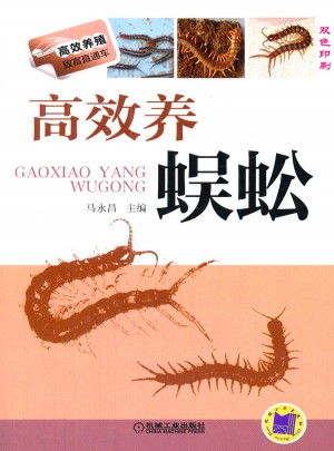 高效养蜈蚣
