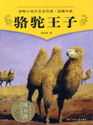 骆驼王子图书