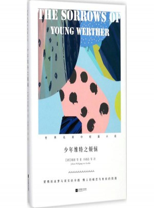 少年维特之烦恼(世界名家中短篇小说)(精)