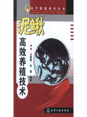 泥鳅高效养殖技术
