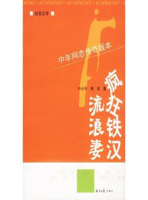 疯狂铁汉流浪妻图书