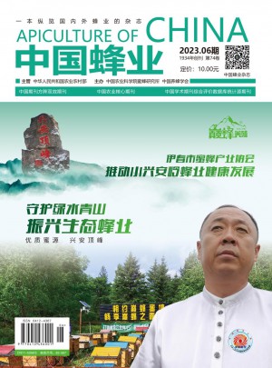 中国蜂业杂志