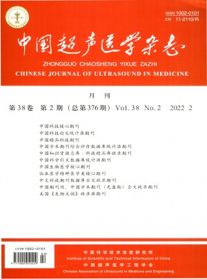 中国超声医学论文
