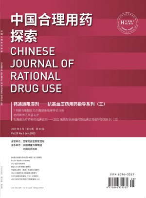 中国合理用药探索杂志