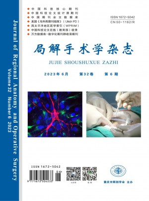 中国局解手术学杂志