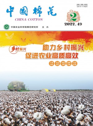 中国棉花杂志社