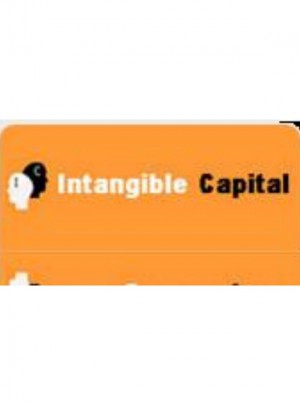 Intangible Capital