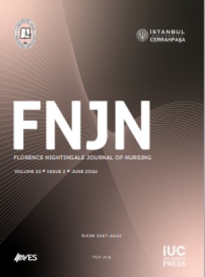 Florence Nightingale Journal Of Nursing