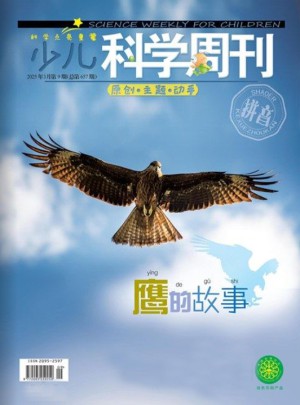 少儿科学周刊杂志订阅