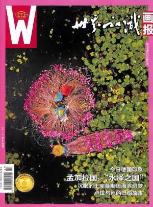 世界知识画报杂志订阅