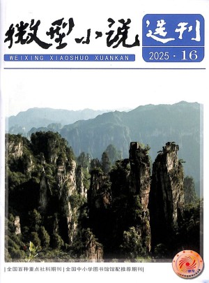 微型小说选刊